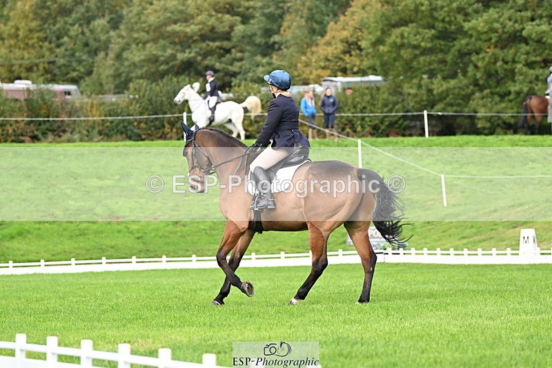 251023A-113718-03626 - G-514-Carolyn.Price With Trot Up