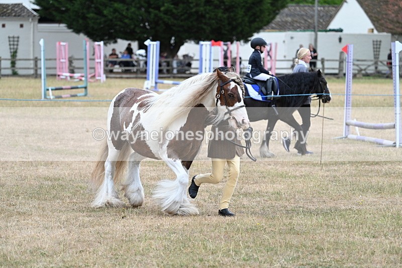 WJ7_8260 - Class 4 Prettiest Mare up to 14.2hh