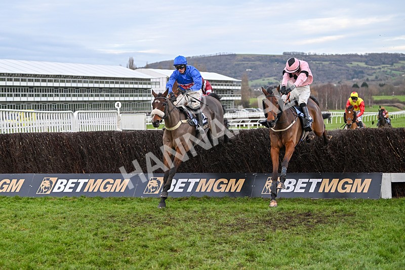 141224-Race 5-Libberty Hunter-2013 - Race 5