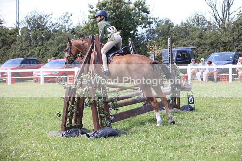 JPP_2661 - Class 21: Working Hunter 60cm