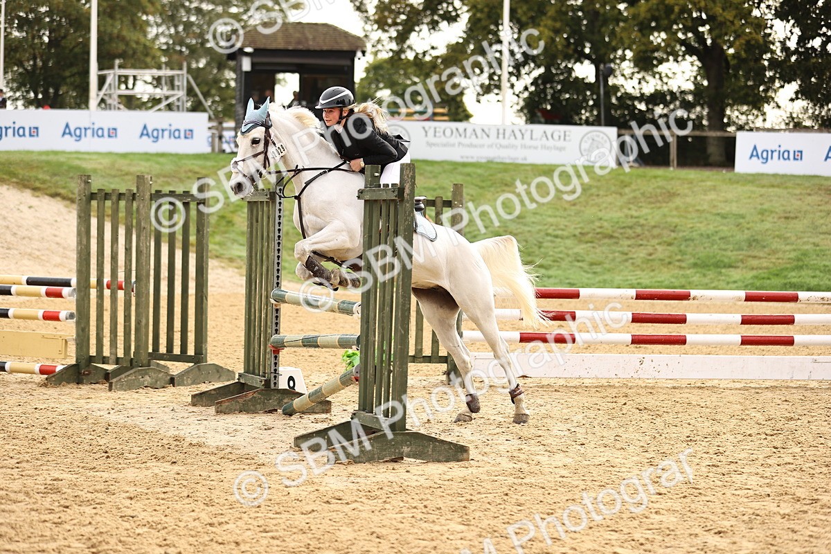 SBM_58178 - J41 - Grand Tour Horse & Pony 95cm