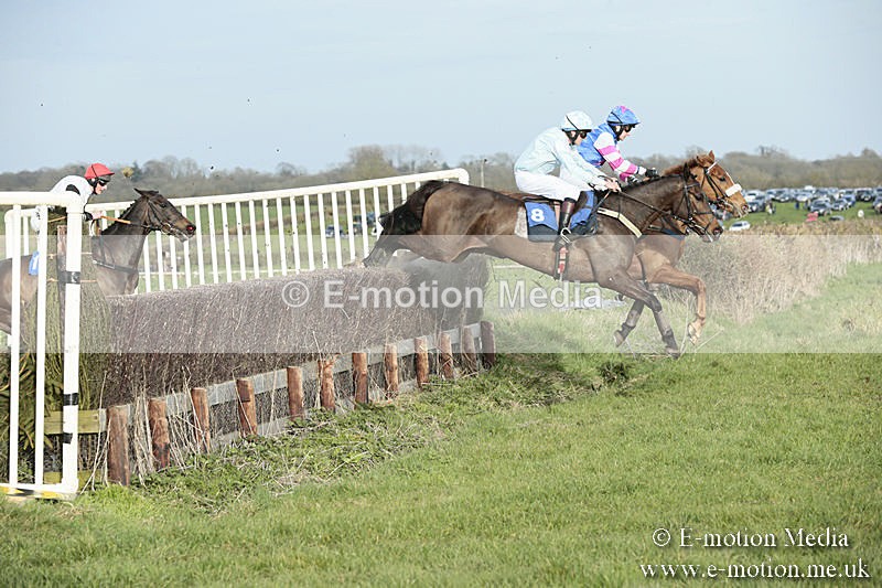 PtP 230319 474 - VWH Hunt Siddington Point-to-Point Racing 23/03/19