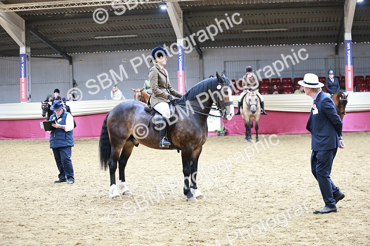 SBM_03585 - Class 6A Area Ridden Pre-Vet