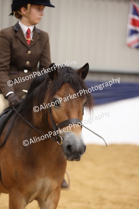 20260913-0641 - Class 126 - Novice Ridden