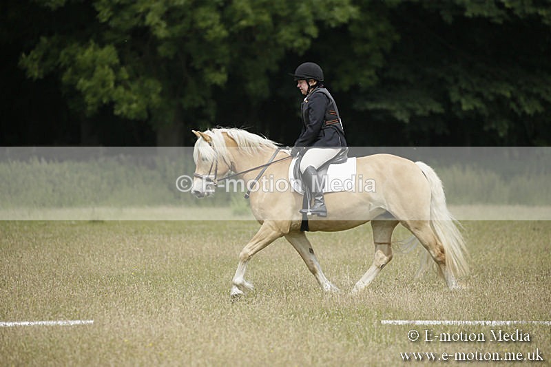 B230619-0409 - Bourne Valley Riding Club Summer Show 23/06/19
