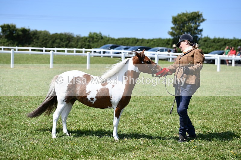 DSC_7786 - Class 64: Coloured Pony 4yrs & over