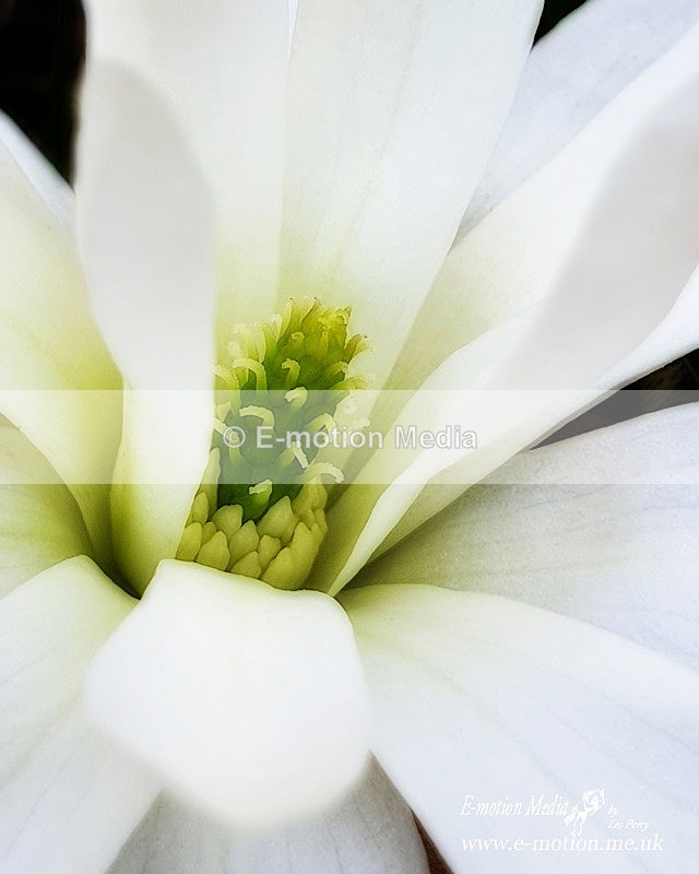 20200405_151105 copyab - Nature