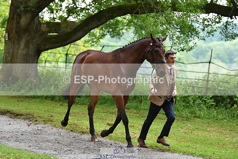 240522-165552-01258 - 262-MY_STAR_TURN-Tom_Jackson