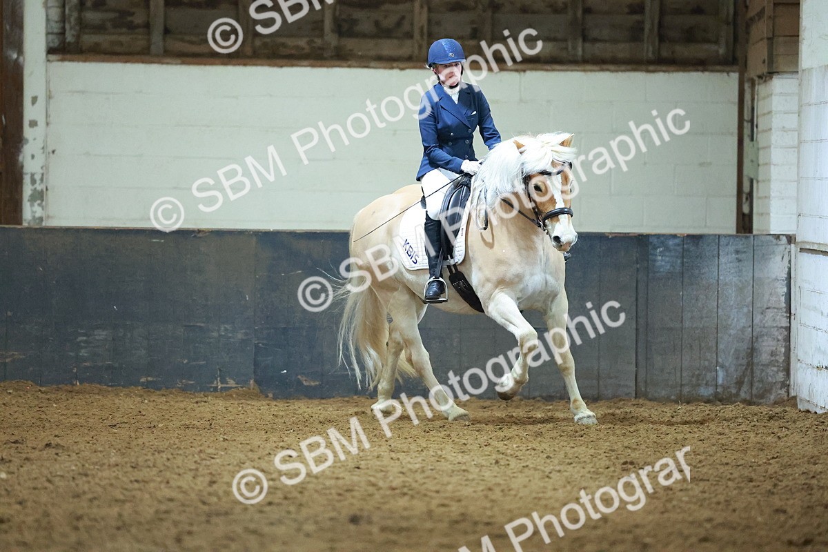 SBM_003915 - Novice 2
