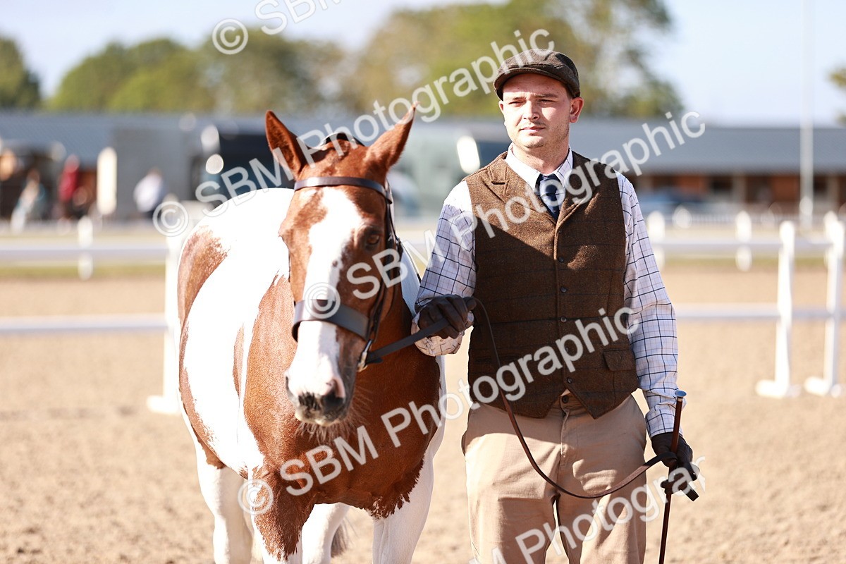 SBM_22080 - Class 703 - IH Coloured