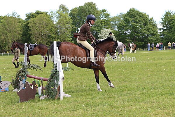 IMG_2896 - Working Hunter