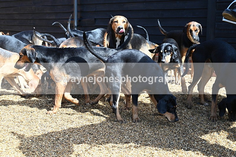 WJ7_7082 - Berks & Bucks at Blandy’s Farm 31-08-25