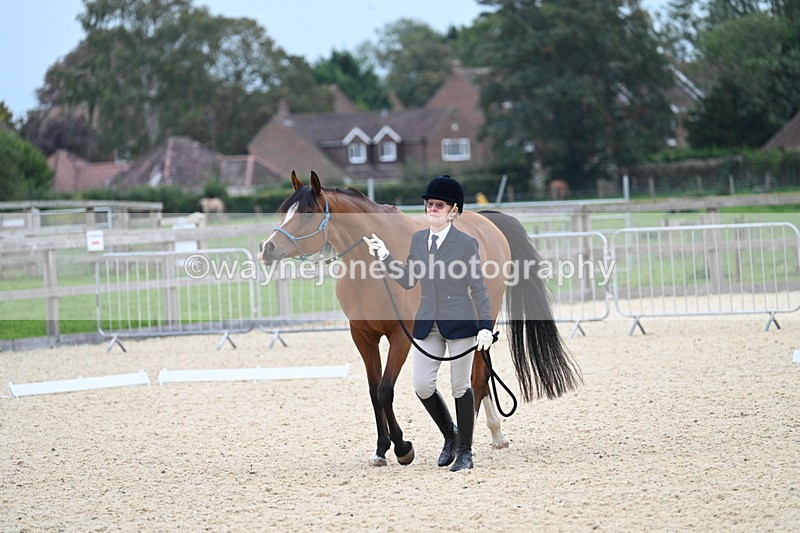 WJ7_1851 - Class 1 & Champs