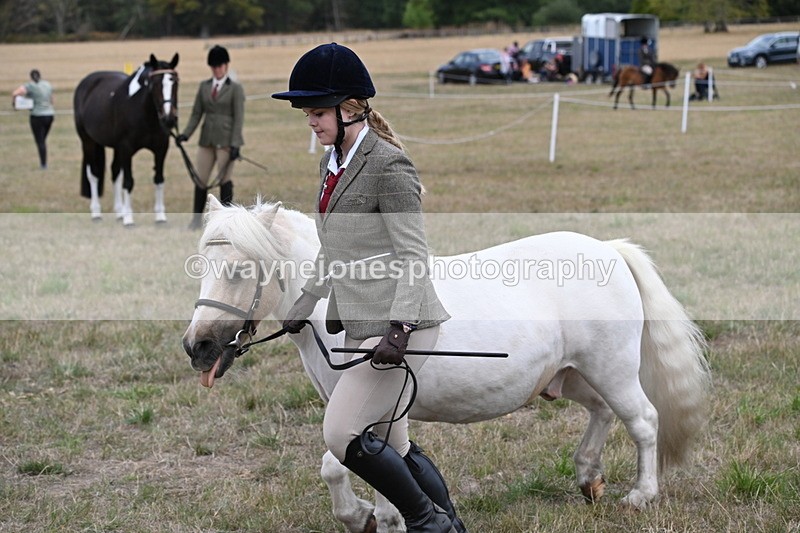 WJ6_6138 - Class 19 In-hand Veterans (Uploaded correct folder)