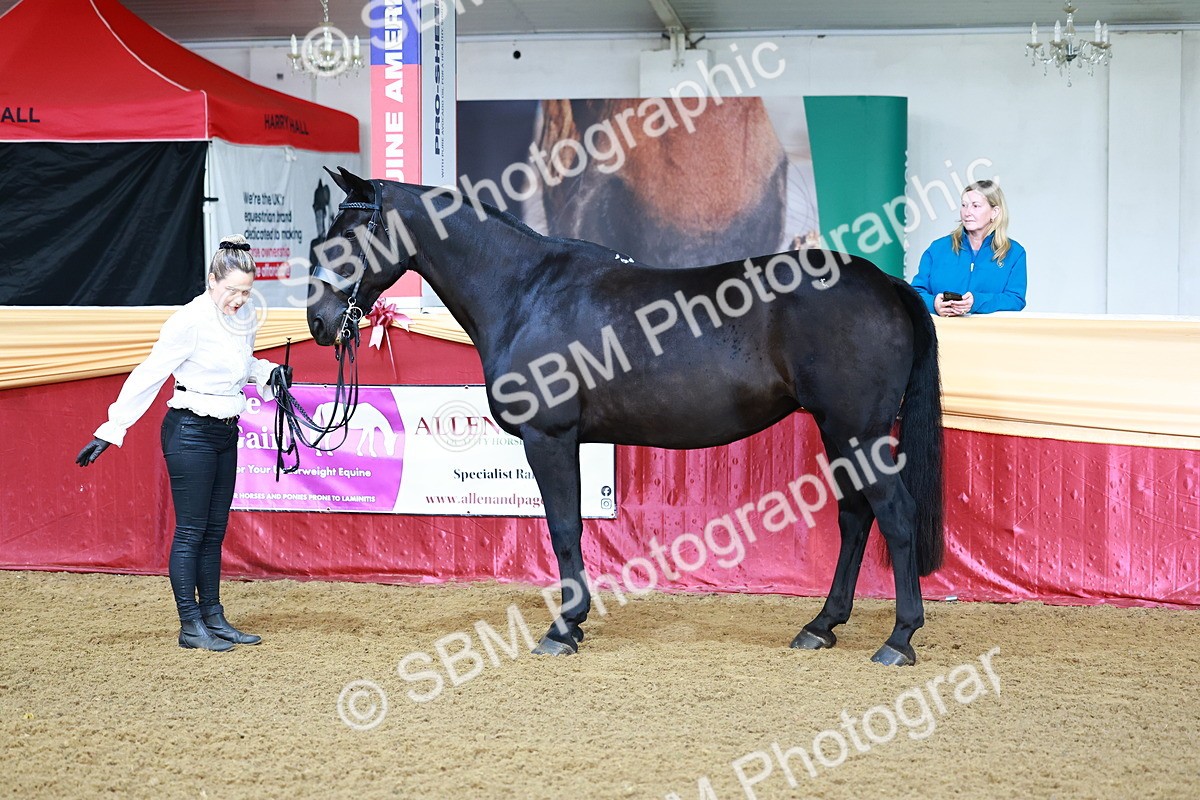 SBM_21682 - Class 901 - Supreme Final - IH  Diamond