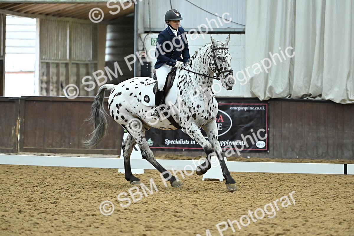 SBM_007506 - Class 81 - Novice 3