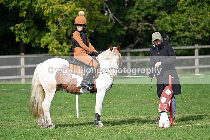 WJ7_3916 - 40cm Time 10:26 to 10:42