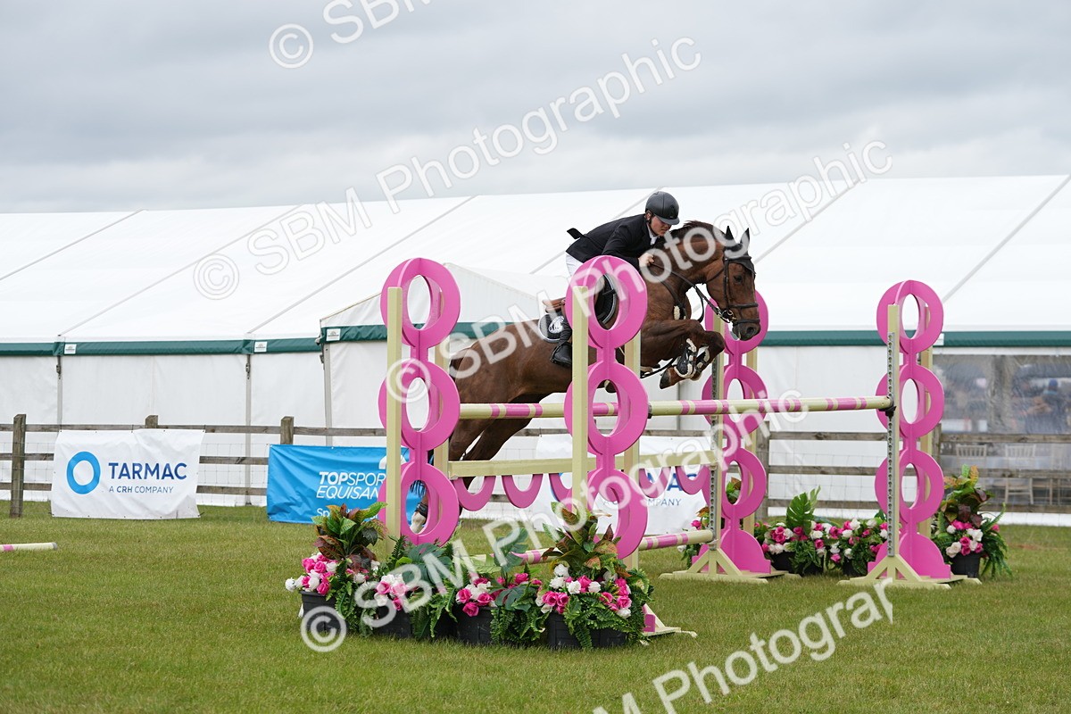 SBM_03444 - Class 201 - British Horse Feeds Speedi Beet Horse of the Year Show Grade  C