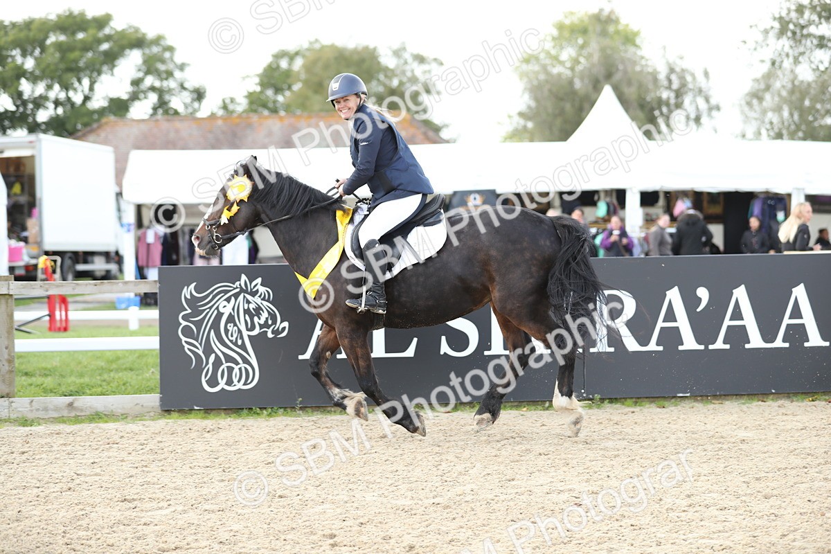 SBM_06575 - J29 - Senior Horse & Pony 65cm Championship