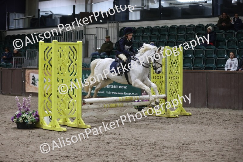 20260125-2791 - Class 3 - 60cm