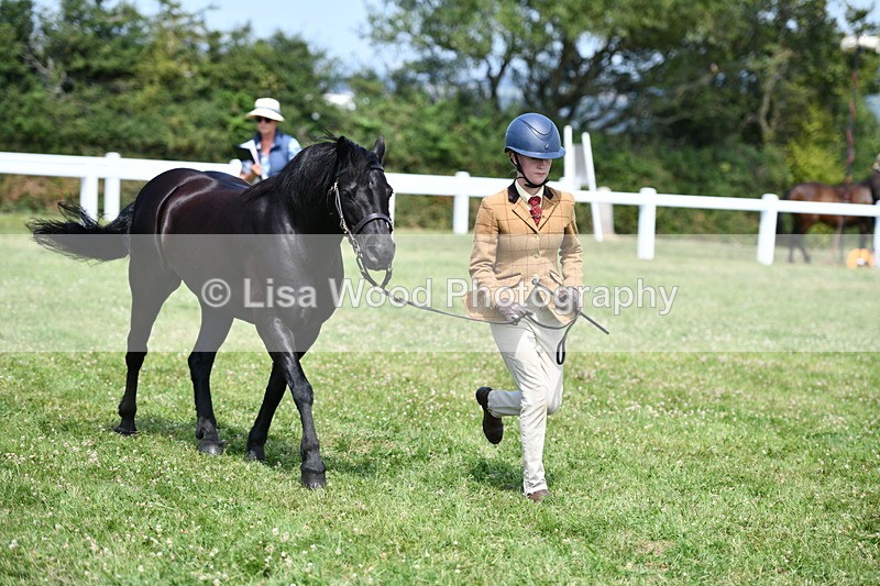 DSC_8197 - Class 67: Child Handler 11 - 16 years