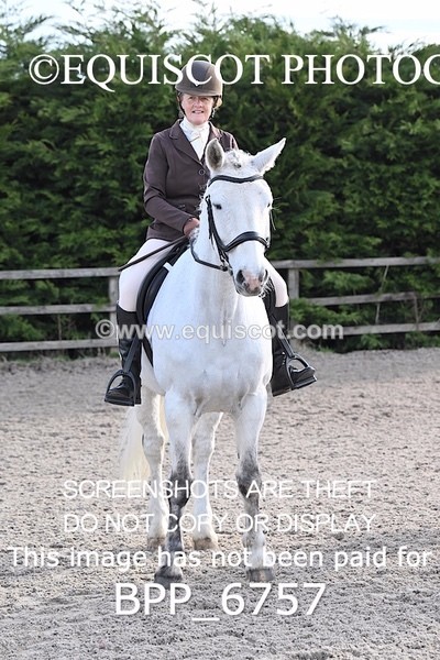 BPP_6757 - RING 1  (RIDDEN HORSES / IN HAND / VETERAN ETC)