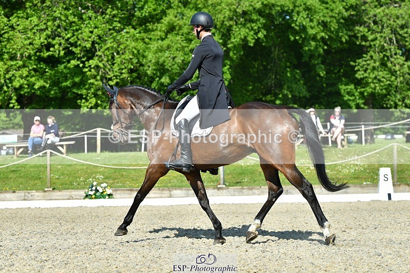 230525-092534-03741 - 405-MATTERHORN_RISING-Arthur_Duffort-DR