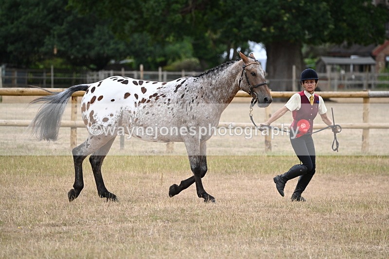 WJ6_8525 - Class 10 Coloured in Hand