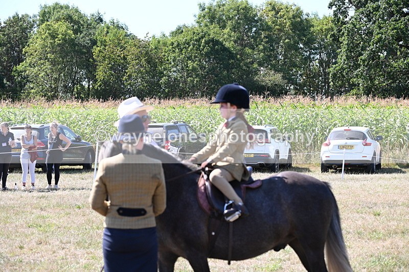 WJ6_7945 - Class 36 Lead Rein