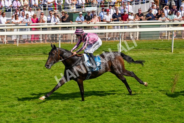 160623-Race 4-Chichester-6342 - Race 4 3.35pm Seat Unique Ganton Stakes