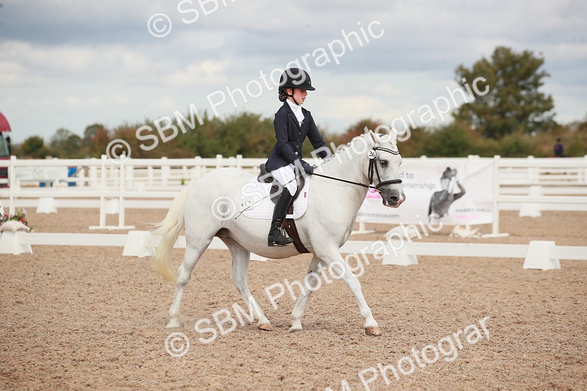 SBM_03990 - Class 31 - Prelim 1