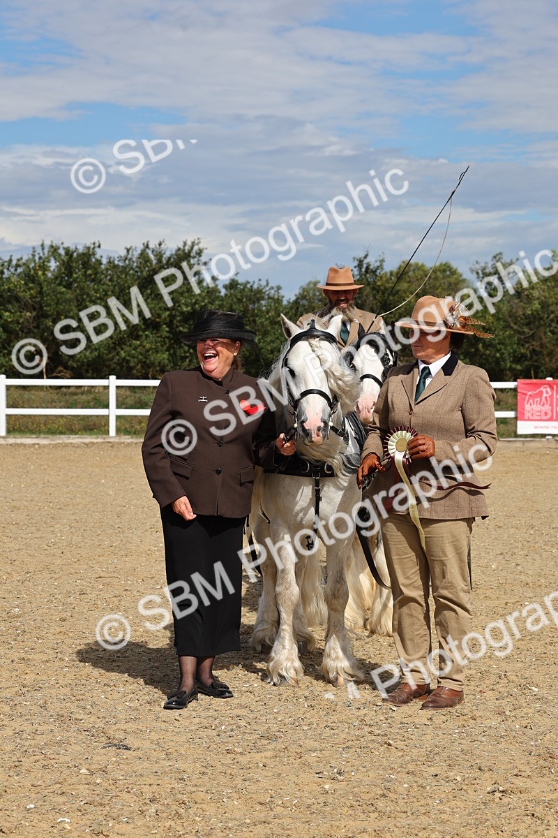 SBM_001258 - Class 16 - Pairs ,Multiples and Tandems