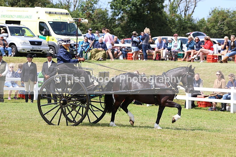 3E7A2656 - Class 12: Open Driving
