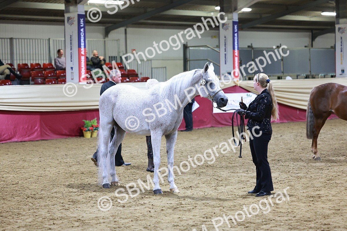 SBM_21223 - Class R - Veteran Champ