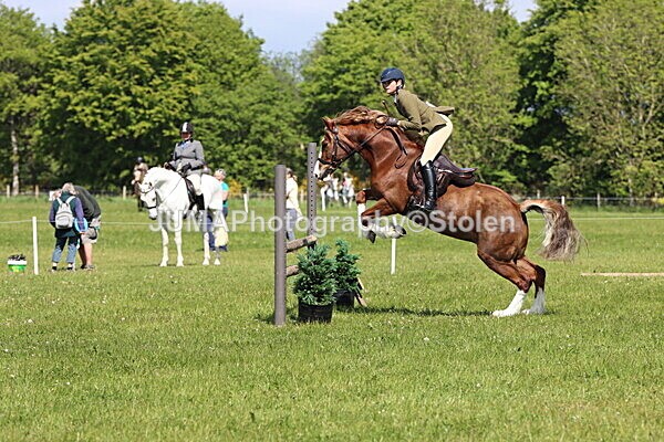 IMG_4340 - Working Hunter