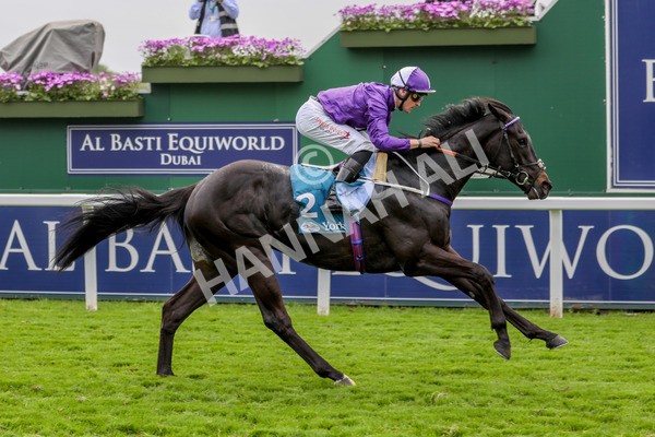 180523-Race 6-Cuban Thunder-7443 - Race 6 4.45pm Frank Whittle Partnership ebfstallions.com Maiden Stakes