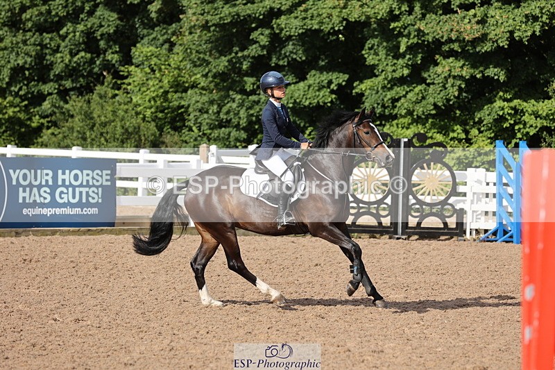 240629A-083033-02579 - Cls 16 British Novice and 80cm Open