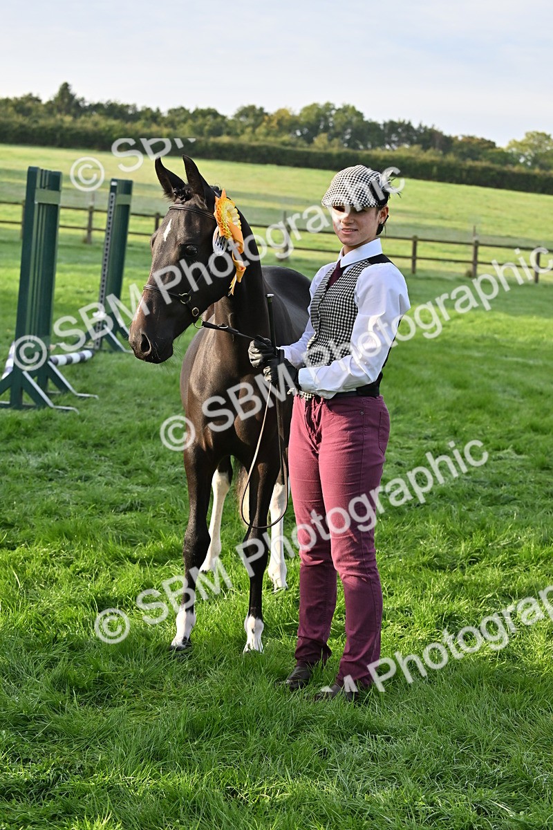 SBM_54645 - S44 - Youngstock In Hand