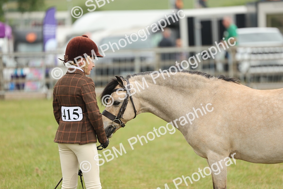 SBM_07115 - Class 76-77 - Ridden M&M Welsh Ponies