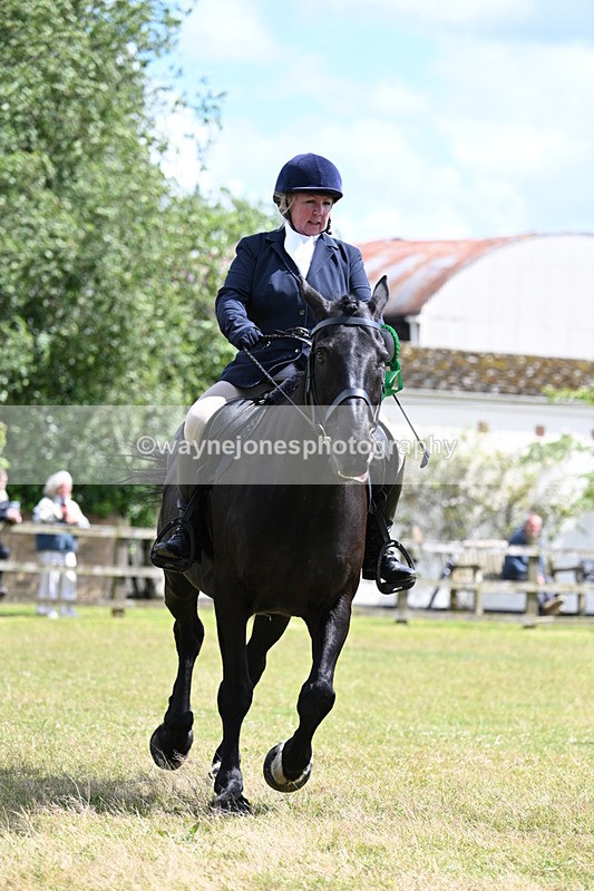 WJ7_0059 - Class 8 Ridden Veterans