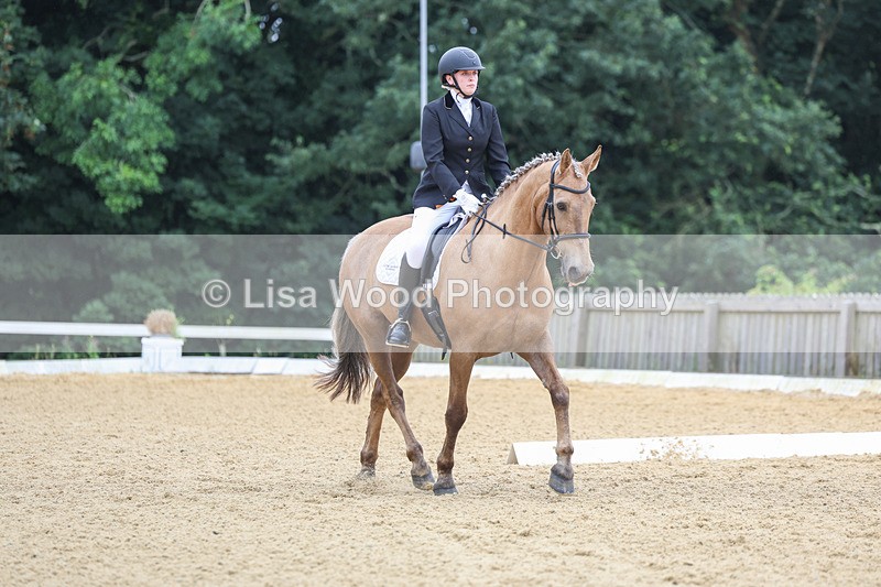 3E7A5037 - Class 2: Intro 4 2024 section B