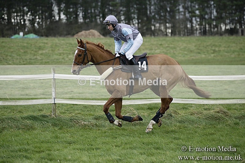 PtP 031217 415 - Hursley Hambledon Point-to-Point Larkhill 03/12/17