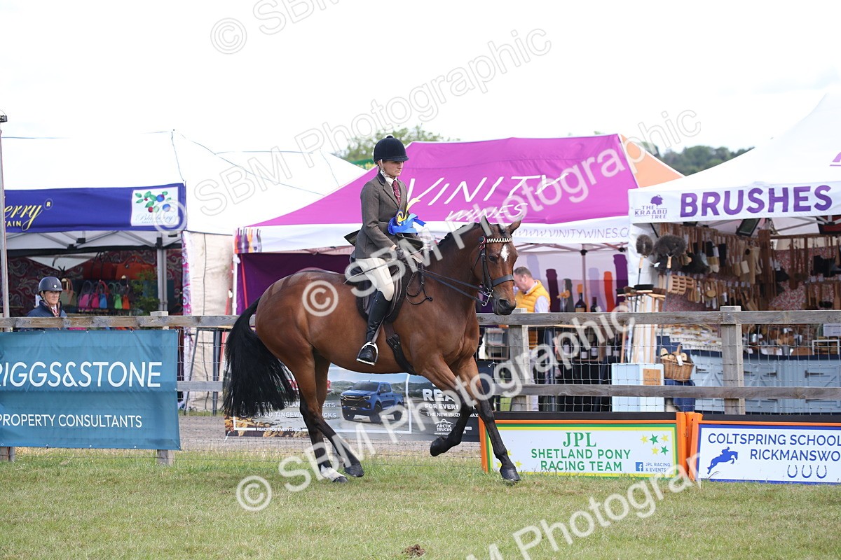 SBM_13286 - Class 95-96 - LIHS BSHA Rising Star Hack Riding Horse