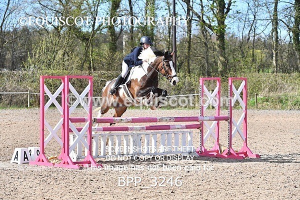 BPP_3246 - CLASS 3 BritiNovice/ 90cm Open