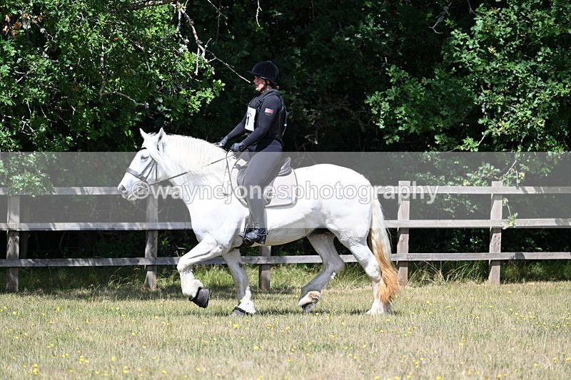 WJ7_9951 - 40cm Time 11:30 to 11:46