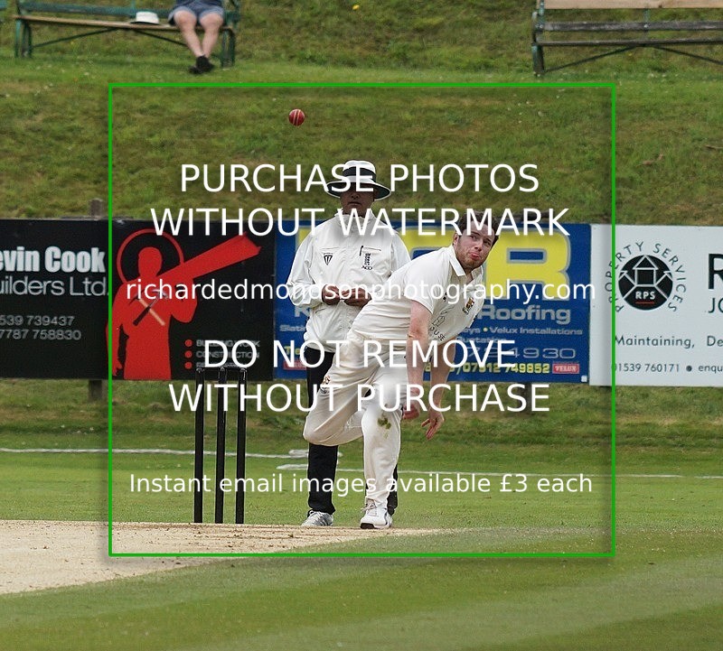 DSC05067 - Cricket Images 2019