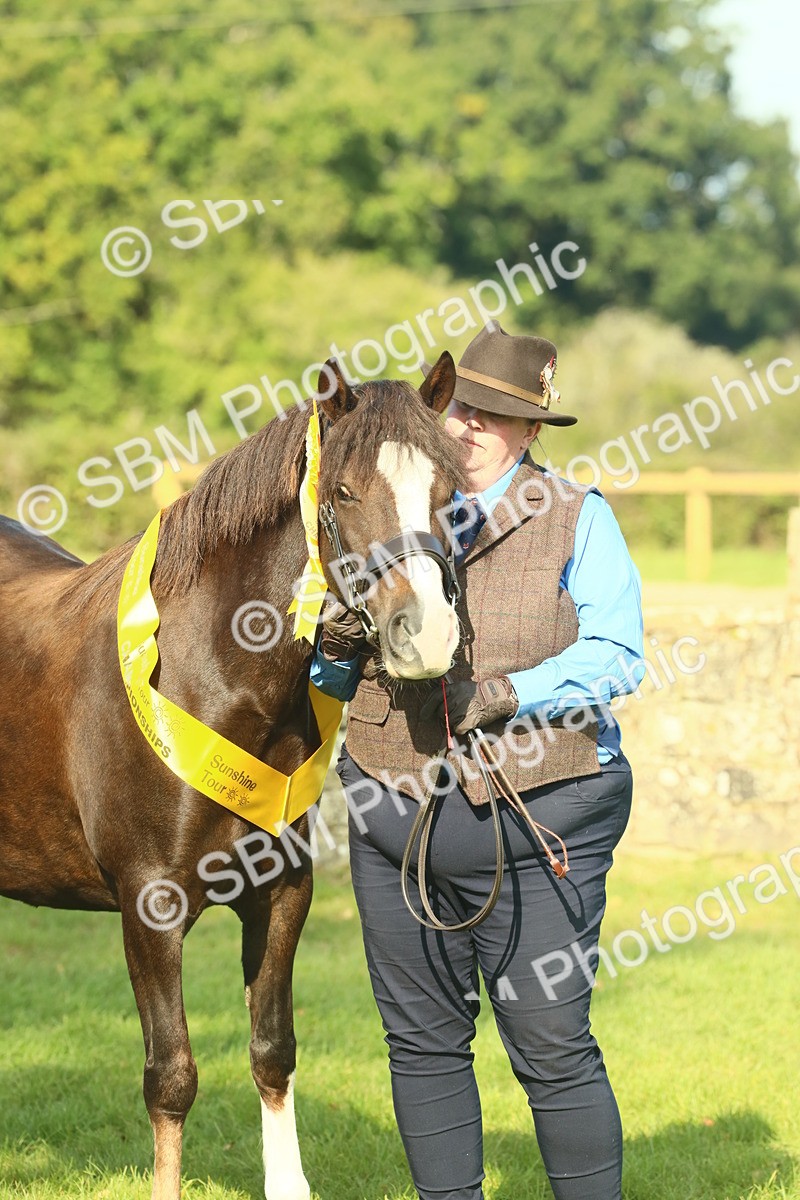 SBM_61123 - Starter Supreme Championship