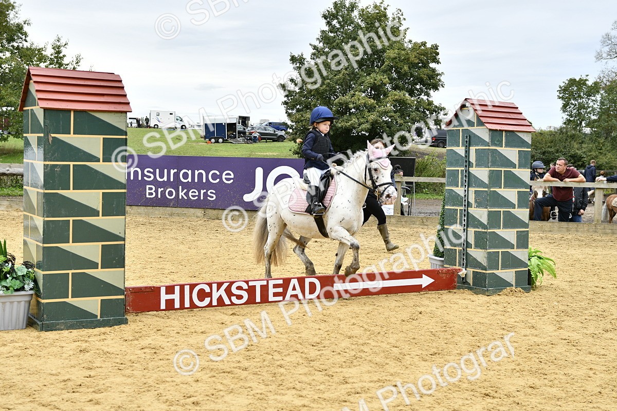SBM_66157 - J2a mini Tour Junior Pony 30cm Championship