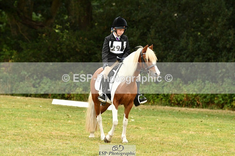 250820A-115018-05326 - 11am to 12