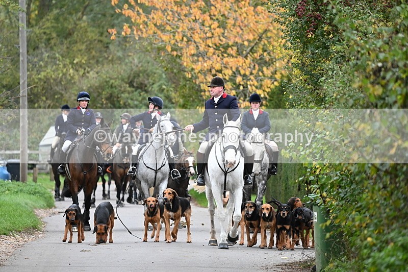 WJ6_8294 - Walk Home..